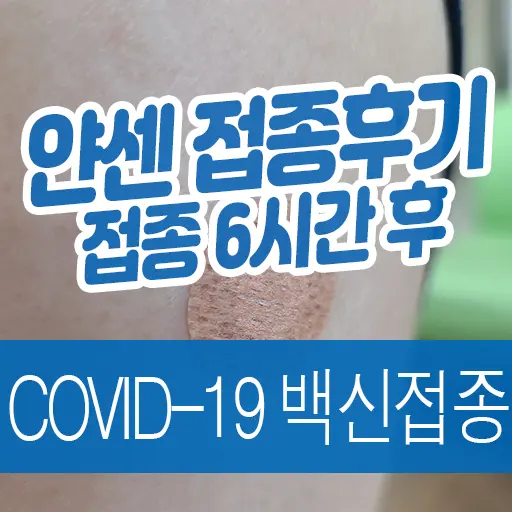 코로나19 백신 얀센 백신 접종 후기 (접종 6시간 후 경과, 백신 접종 증명서 발급)