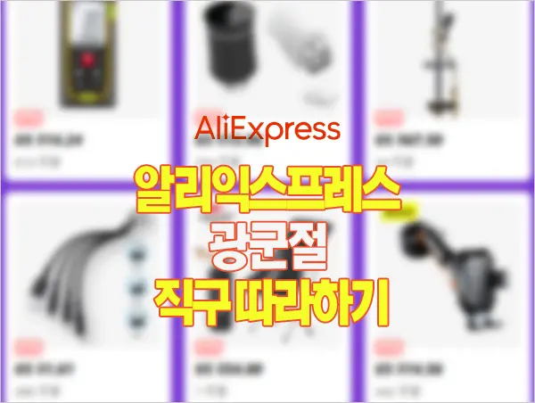 알리익스프레스 11.11 광군절 직구 따라하기