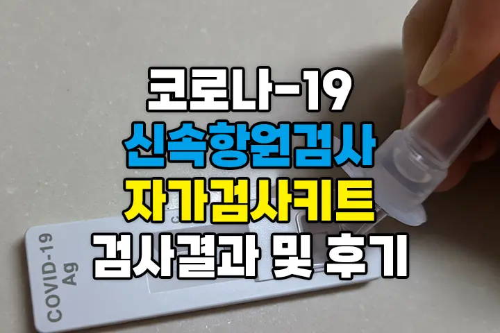 코로나19 신속항원검사 자가검사키트 편의점 구입과 진단 후기
