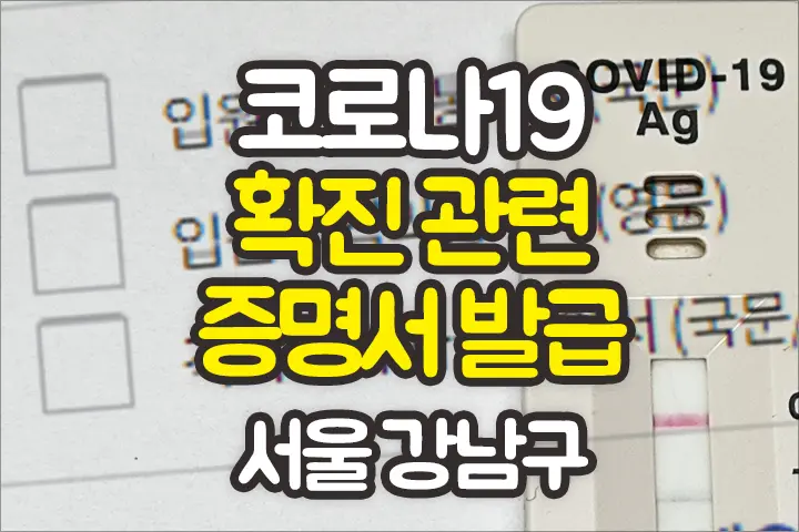 서울 강남구 코로나19 제증명서 발급 (코로나19확진 관련 증명서)