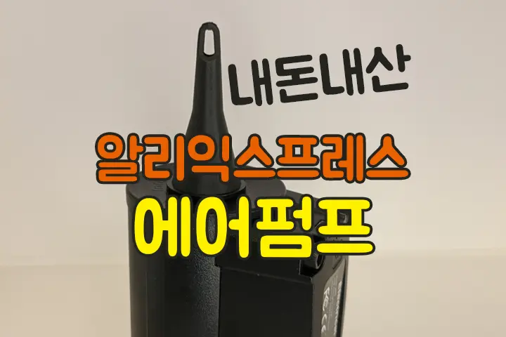 알리익스프레스 무선 전동 에어펌프 Reesibi BP6 (feat.캠핑학교) 내돈내산