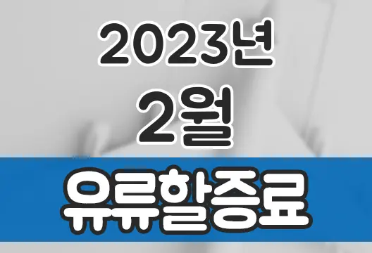2023년 2월 대한항공 아시아나항공 유류할증료 인하 국제선 국내선