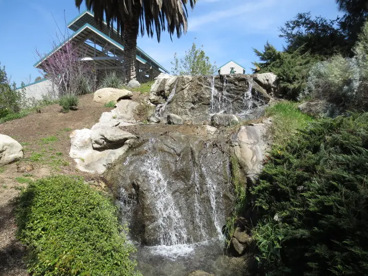 풀러튼 수목원 (Fullerton Arboretum)