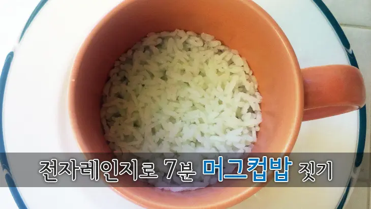 전자레인지로 7분 머그컵밥 짓기
