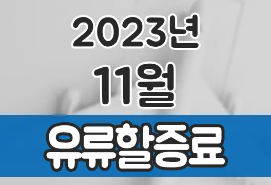2023년 11월 대한항공 아시아나항공 유류할증료 국제선 국내선