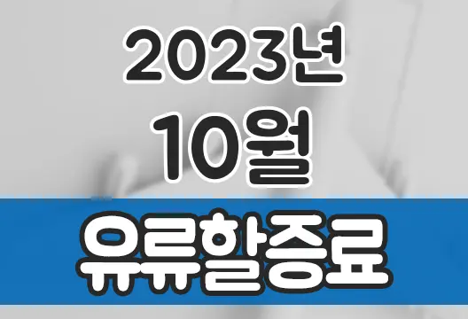 2023년 10월 대한항공 아시아나항공 유류할증료 국제선 국내선