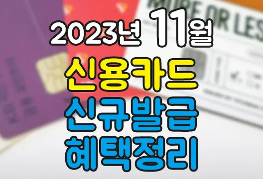 2024년 11월 신용카드 체크카드 신규발급 혜택