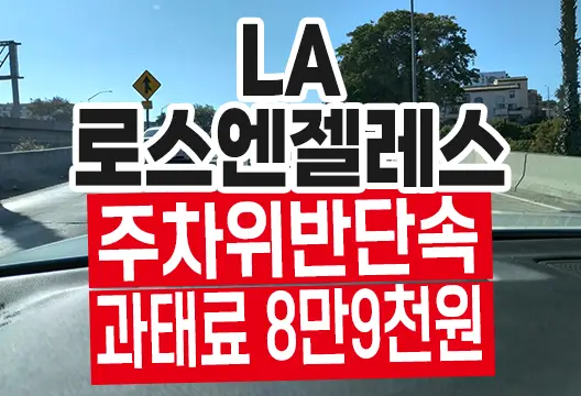 로스엔젤레스 주차위반 딱지 발부 과태료 납부 후기