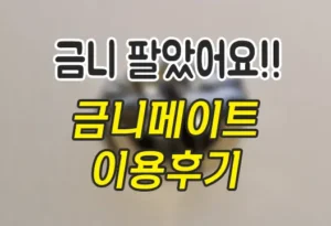 금니 팔고 돈 버는 새로운 경험, 금니메이트 이용 후기