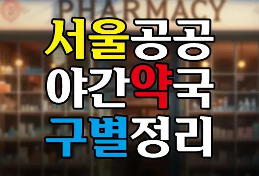 서울 공공 야간약국 구별 약국명 주소 연락처 운영시간