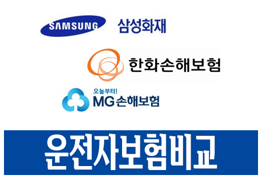 단돈 3,000원 삼성화재, 한화, MG 운전자 보험 상품 비교