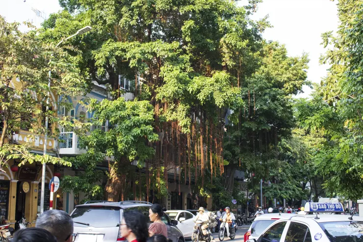 베트남 하노이 여행 ep2 첫째날 일정 (센스파, 분보남보, 성요셉 성당, 콩카페, 문묘, 기찻길 마을, 슬리핑 버스)