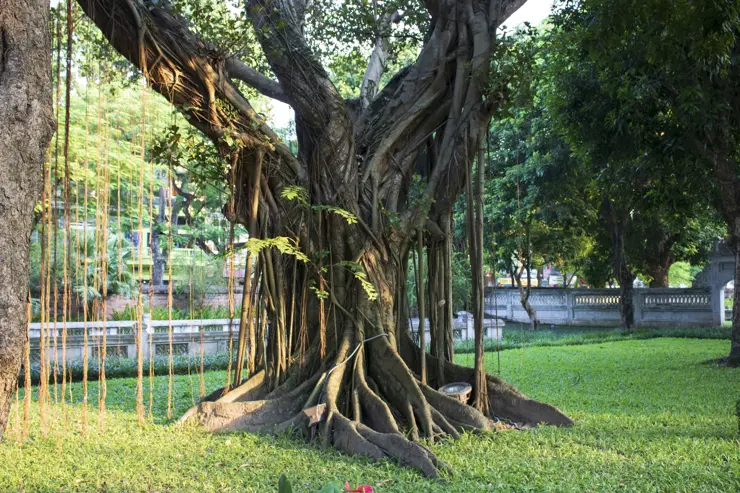 베트남 하노이 여행 ep2 첫째날 일정 (센스파, 분보남보, 성요셉 성당, 콩카페, 문묘, 기찻길 마을, 슬리핑 버스)