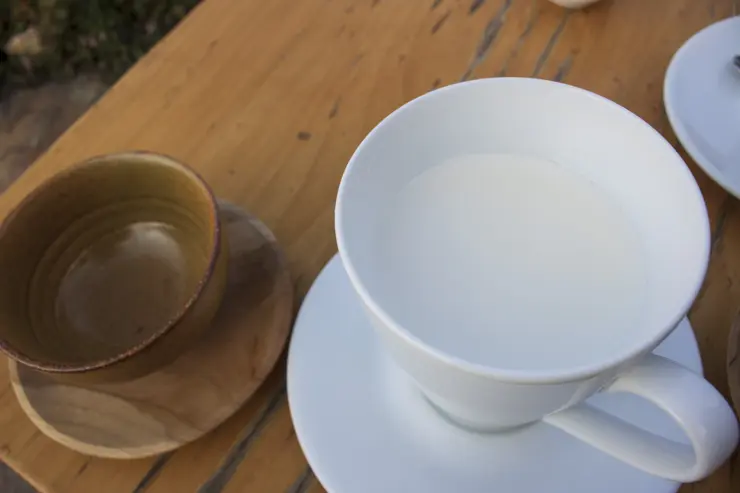 베트남 하노이 여행 ep3 둘째날 라오까이, 에코팜하우스, 심야 슬리핑버스 후기