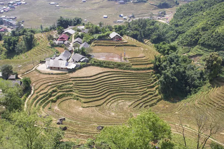 베트남 하노이 여행 ep3 둘째날 라오까이, 에코팜하우스, 심야 슬리핑버스 후기