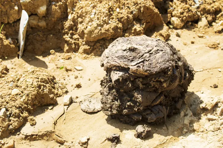 베트남 하노이 여행 ep3 둘째날 라오까이, 에코팜하우스, 심야 슬리핑버스 후기