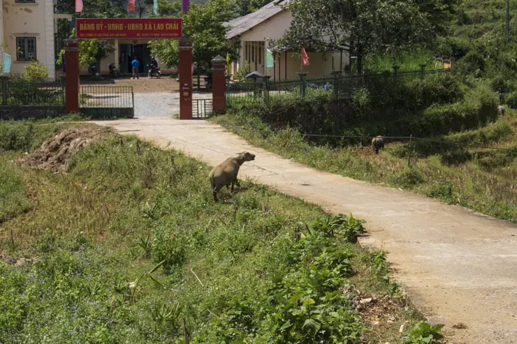 베트남 하노이 여행 ep3 둘째날 라오까이, 에코팜하우스, 심야 슬리핑버스 후기