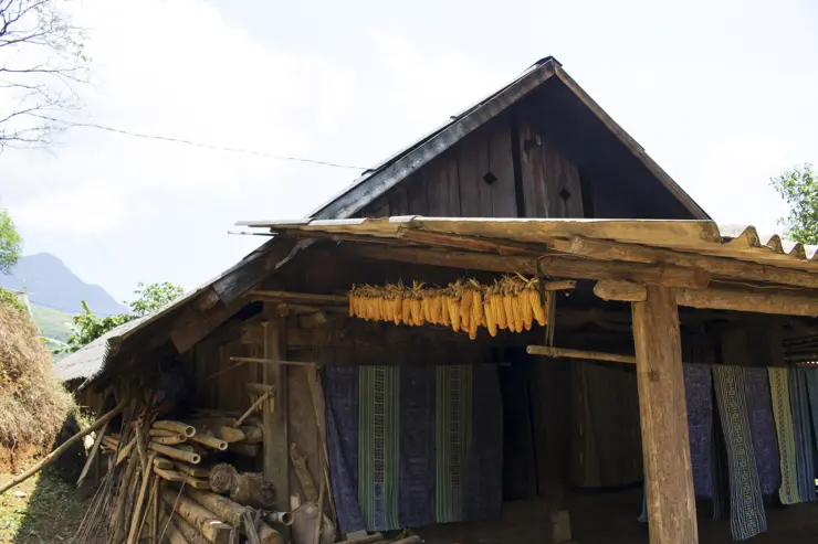 베트남 하노이 여행 ep3 둘째날 라오까이, 에코팜하우스, 심야 슬리핑버스 후기