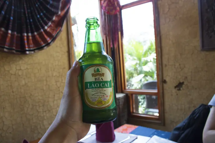 베트남 하노이 여행 ep3 둘째날 라오까이, 에코팜하우스, 심야 슬리핑버스 후기