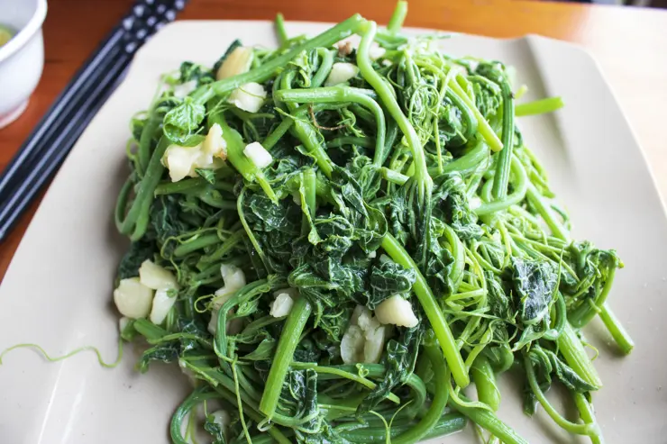 베트남 하노이 여행 ep4 셋째날 사파 판시판산, 깟깟마을, 해븐커피, 말고기 전골