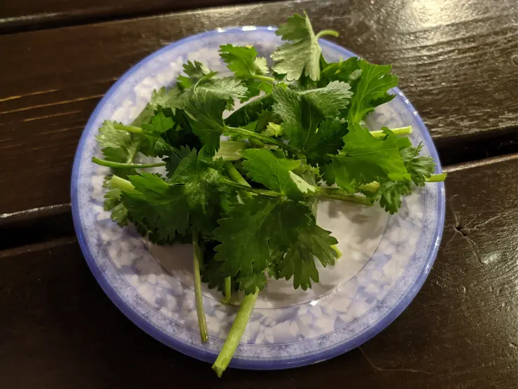 깐띤, 한국 외대 먹자골목 맛집 1호선 외대앞역 베트남 음식점 식당 쌀국수 반쎄오