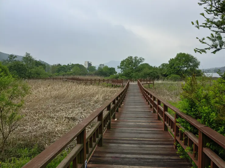 양평 블룸비스타 호텔 투숙 후기, 사심 들어간 호텔 조식 평가