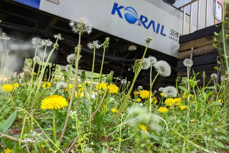 구둔역, 양평 여행 중 들린 폐역사 양평 가볼만한 곳 사진 찍기 좋은 곳