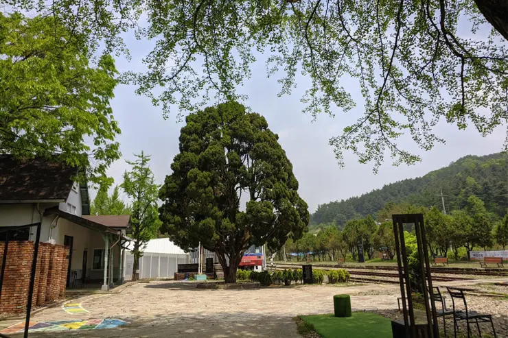 구둔역, 양평 여행 중 들린 폐역사 양평 가볼만한 곳 사진 찍기 좋은 곳