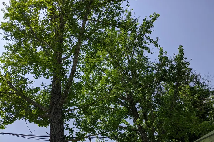 준179카페 (JUN.179 CAFE), 양평 노천 카페, 야외 카페 평화로운 곳