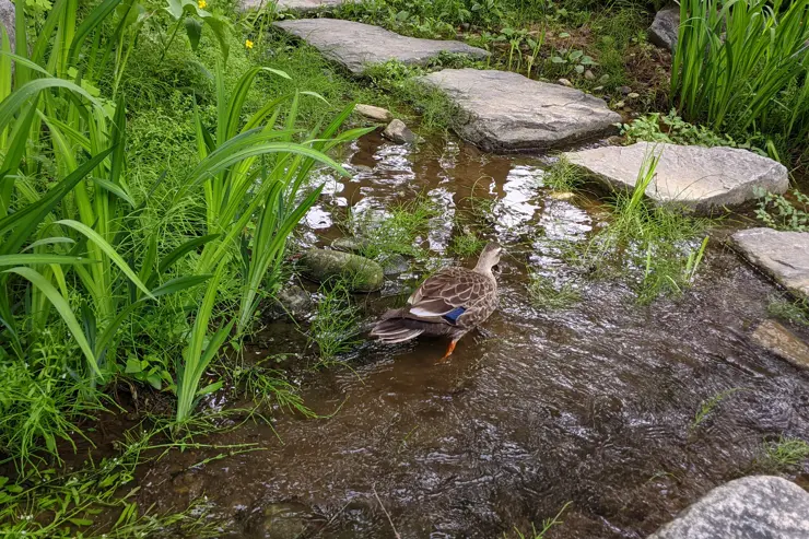 두물머리, 북한강과 남한강이 만나는 곳