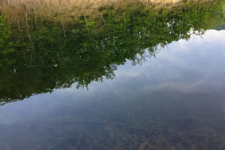마장호수 출렁다리, 경기도 파주 나들이 산책로 추천