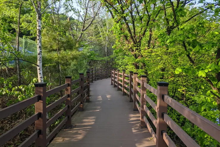 마장호수 출렁다리, 경기도 파주 나들이 산책로 추천