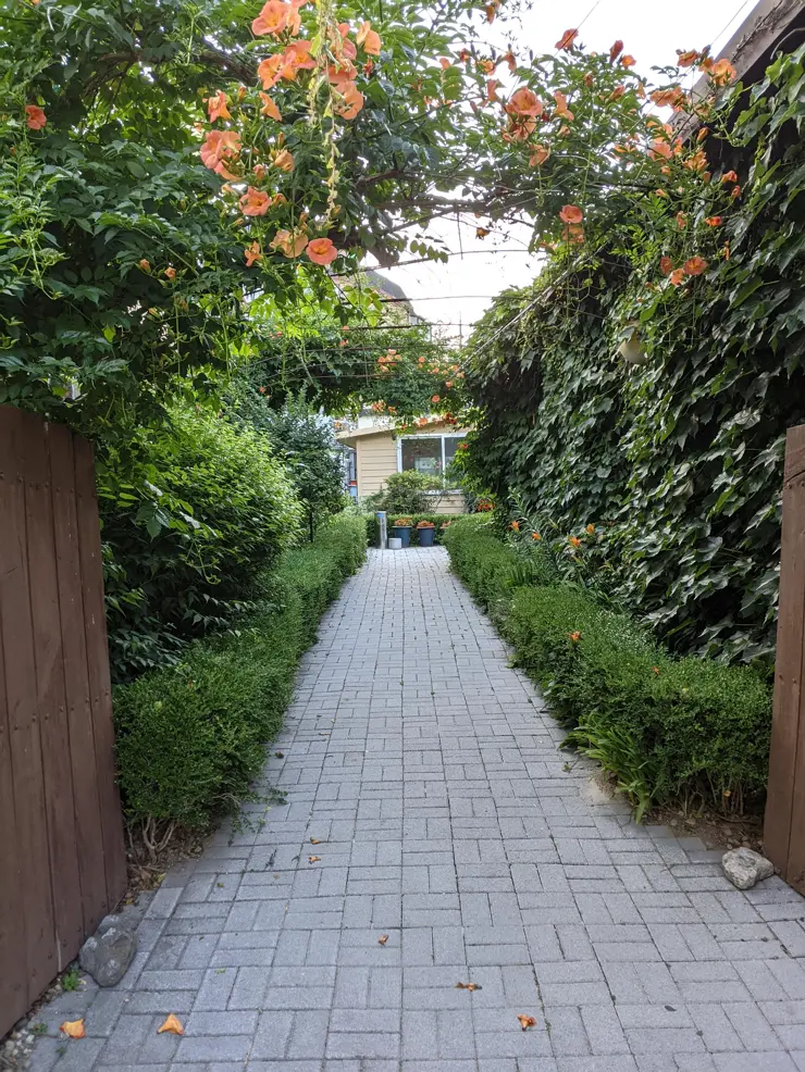 본가 장수촌, 누룽지 닭백숙 면목동 맛집 여름철 보양식