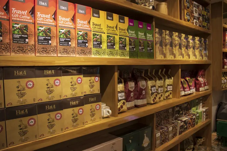 베트남 하노이 여행 ep5 넷째날 사파 시내, 사파 성당, KAFA 커피, 큐브버스, 하노이 시내 롯데마트