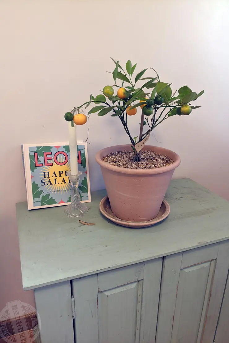 미드바르앳홈(midbar at home), 평택송탄 전원주택형 가든카페