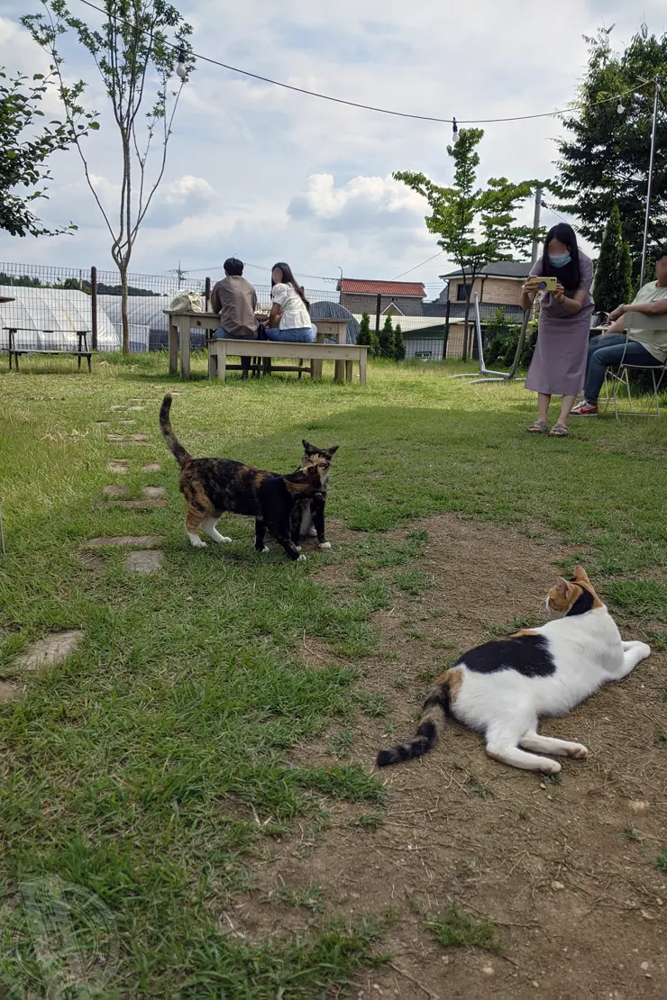 미드바르앳홈(midbar at home), 평택송탄 전원주택형 가든카페