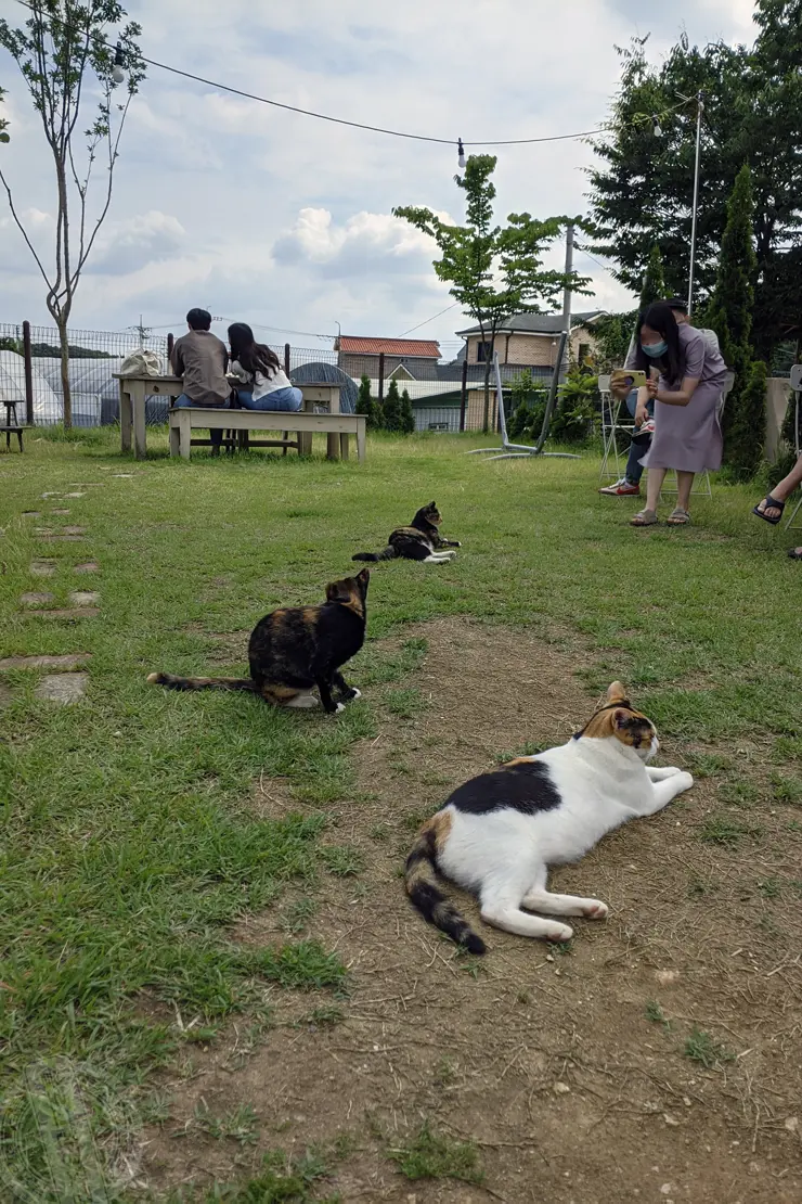 미드바르앳홈(midbar at home), 평택송탄 전원주택형 가든카페