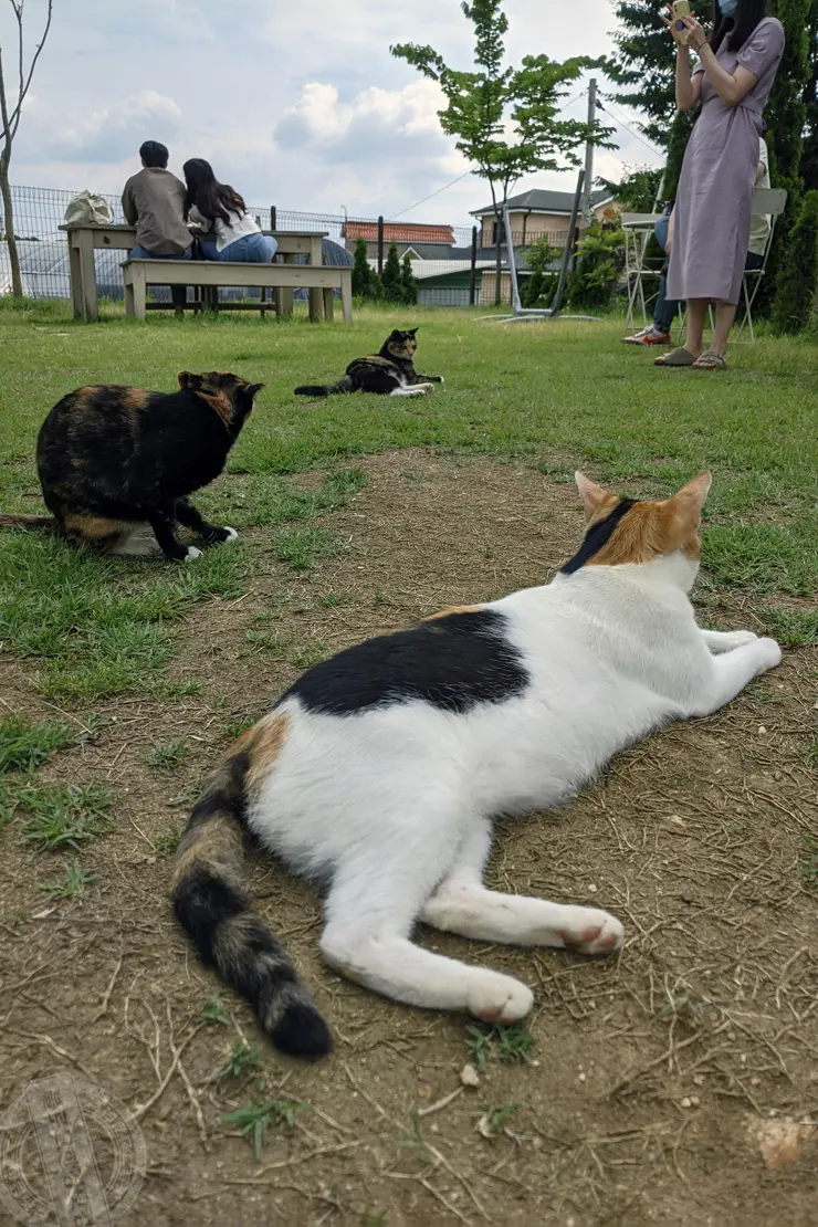 미드바르앳홈(midbar at home), 평택송탄 전원주택형 가든카페