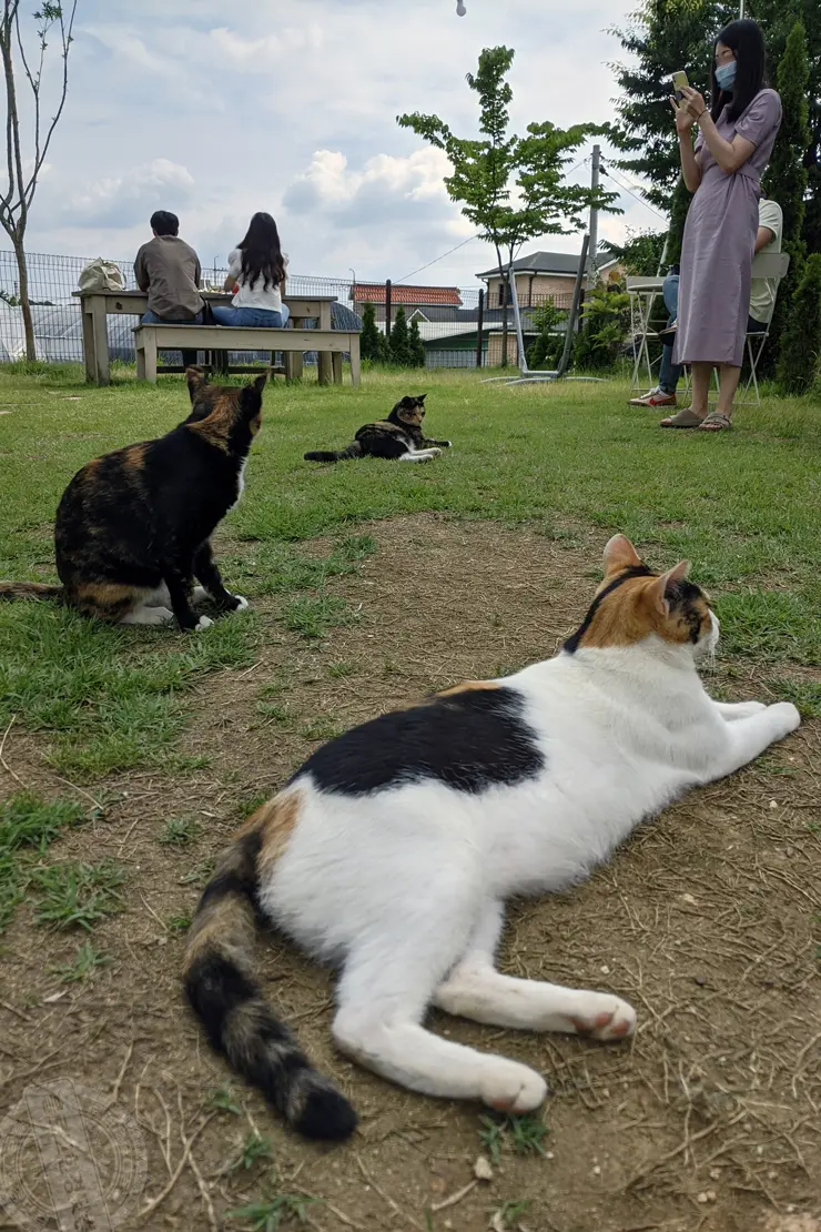 미드바르앳홈(midbar at home), 평택송탄 전원주택형 가든카페