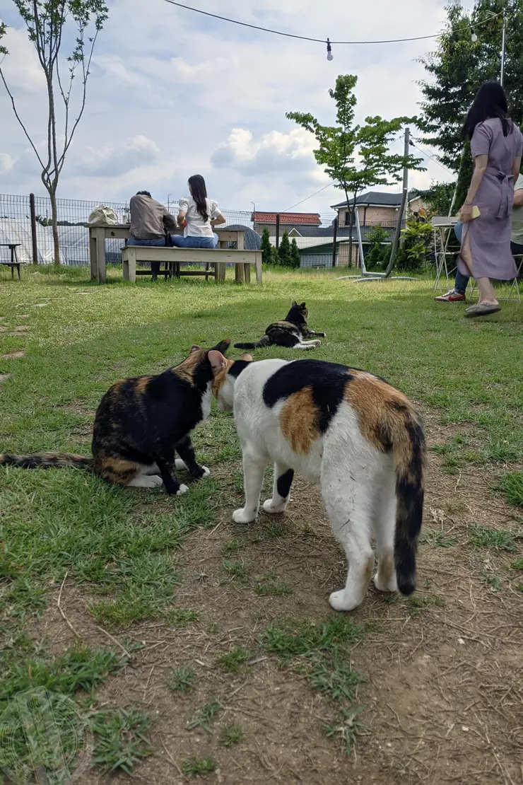 미드바르앳홈(midbar at home), 평택송탄 전원주택형 가든카페