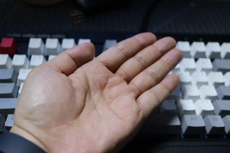 CineStyle 픽쳐 스타일 캐논 DSLR 영화느낌 시네마틱 톤다운