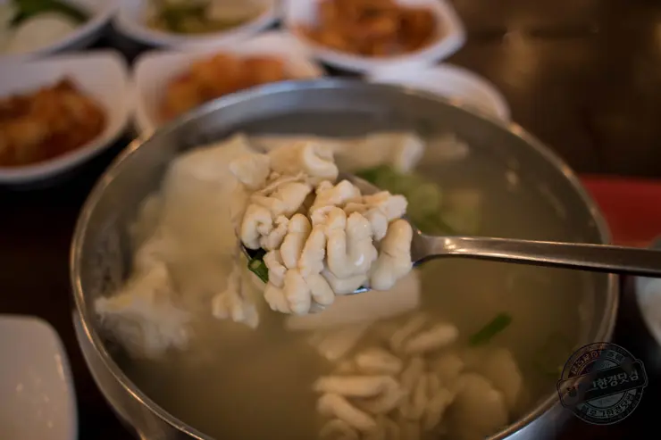 일박일일 부산여행 당일치기 추천여행코스 지도