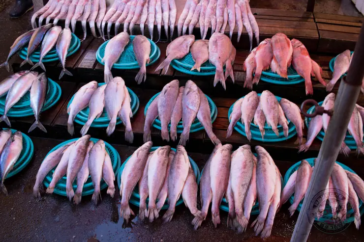 일박일일 부산여행 당일치기 추천여행코스 지도