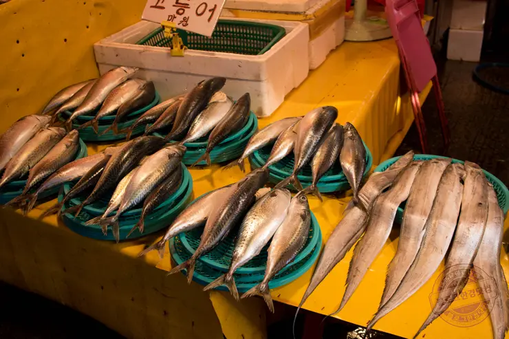 일박일일 부산여행 당일치기 추천여행코스 지도