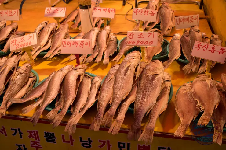 일박일일 부산여행 당일치기 추천여행코스 지도