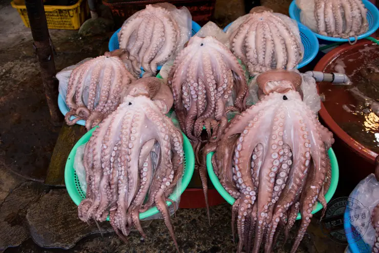 일박일일 부산여행 당일치기 추천여행코스 지도