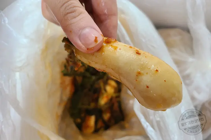 김장김치 절임배추 구매 및 백종원 김치 만들기 유튜브 영상