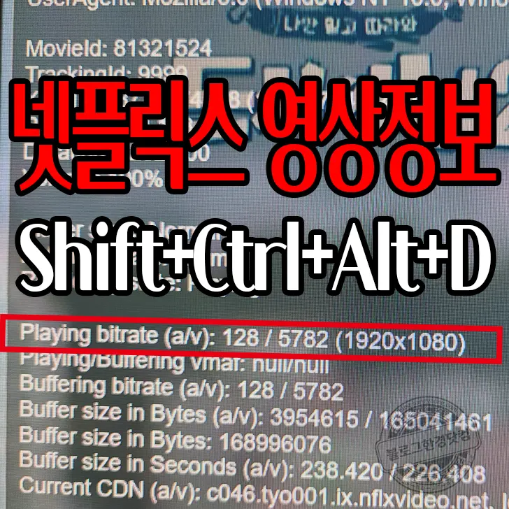 윈도우10 넷플릭스 영상정보(해상도) 확인 방법