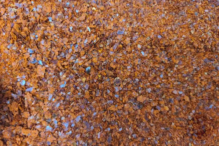 생애최초 어리굴젓 만들기