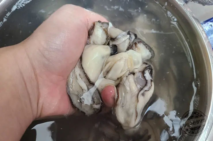 생애최초 어리굴젓 만들기